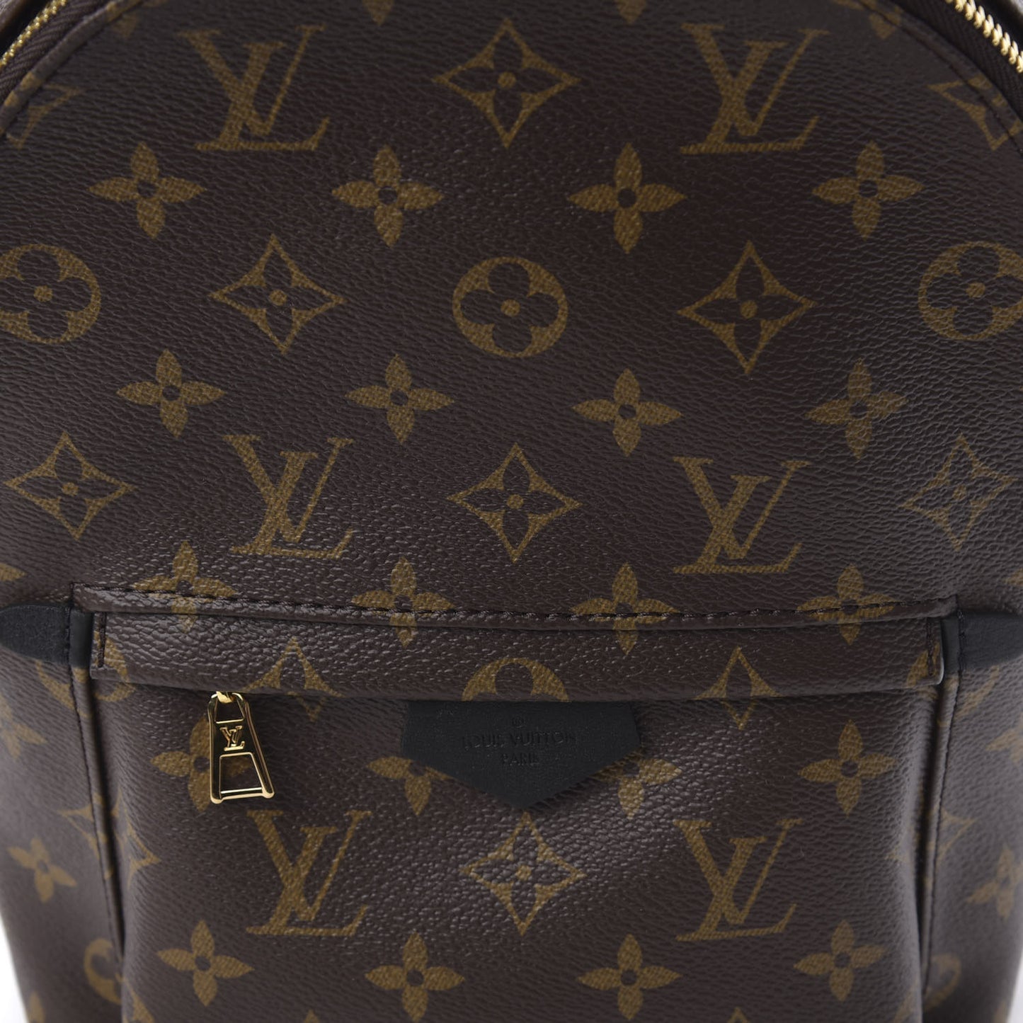 Monogram Palm Springs Backpack PM