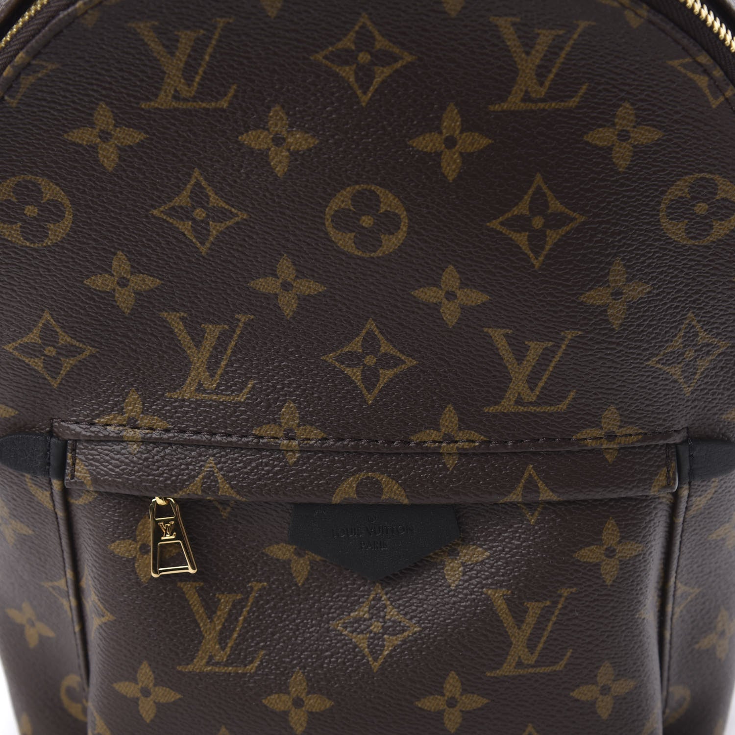 Louis Vuitton Monogram Palm Springs Backpack PM 8 of 8