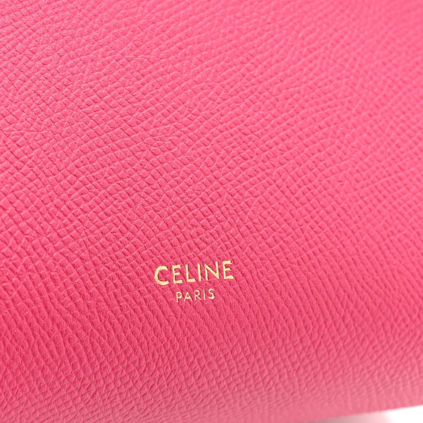 Grained Calfskin Nano Belt Bag Raspberry