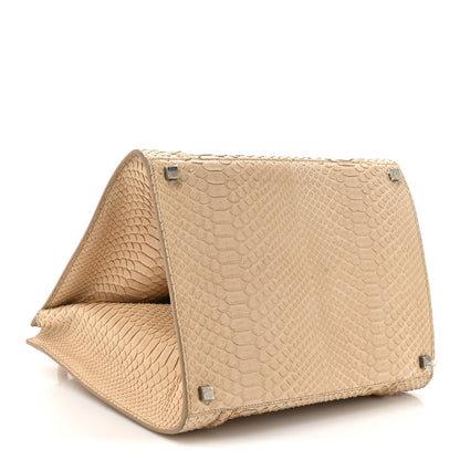 Celine Snakeskin Medium Phantom Luggage Beige 4 of 12