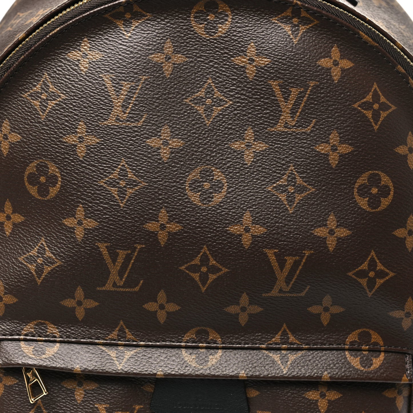 Monogram Palm Springs Backpack MM