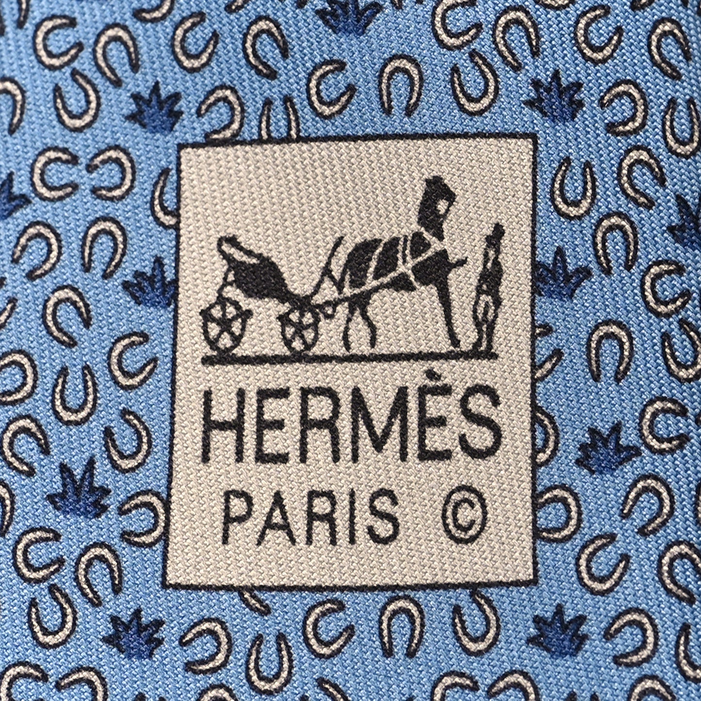 Printed Silk Mens Neck Tie Bleu