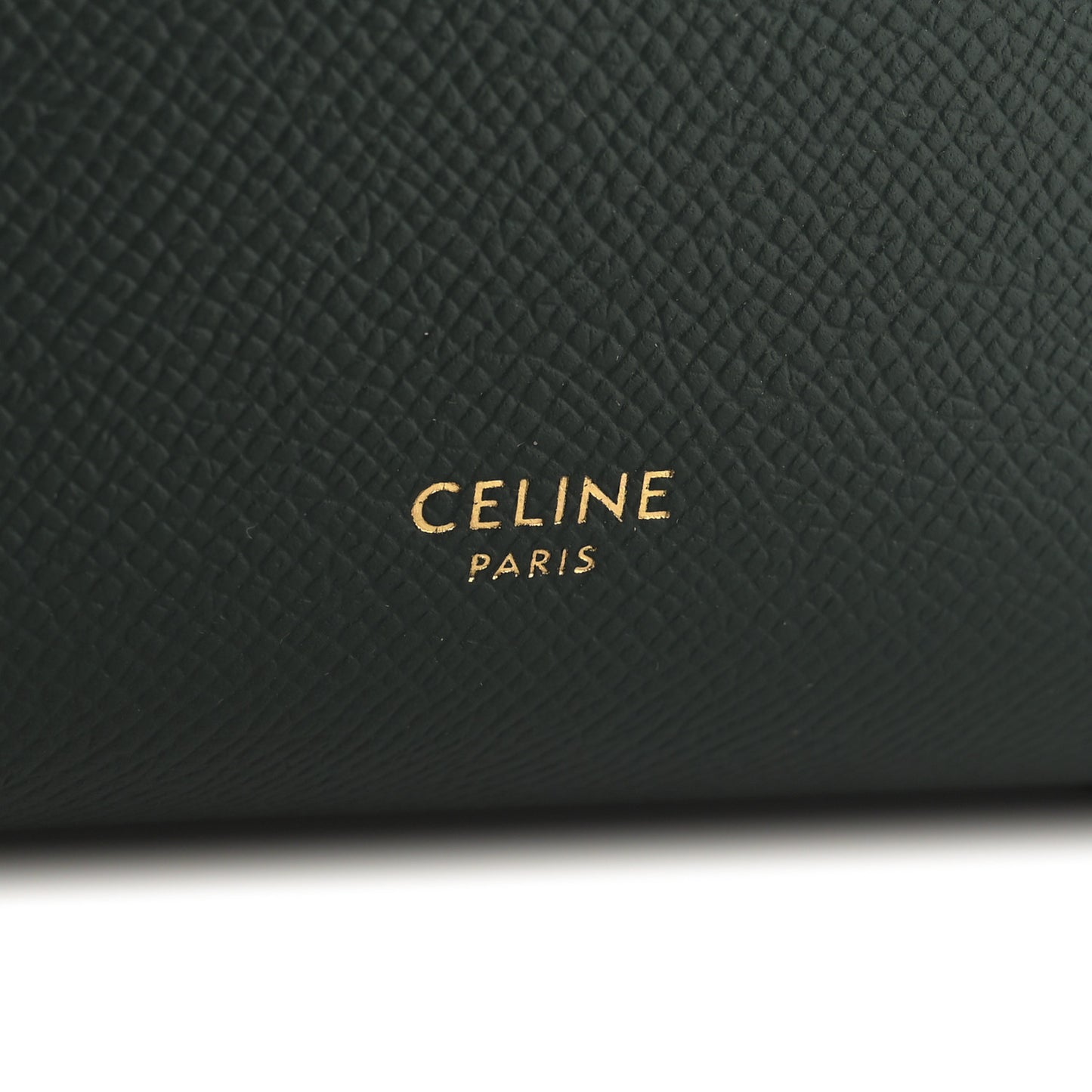 Grained Calfskin Nano Belt Bag Amazone