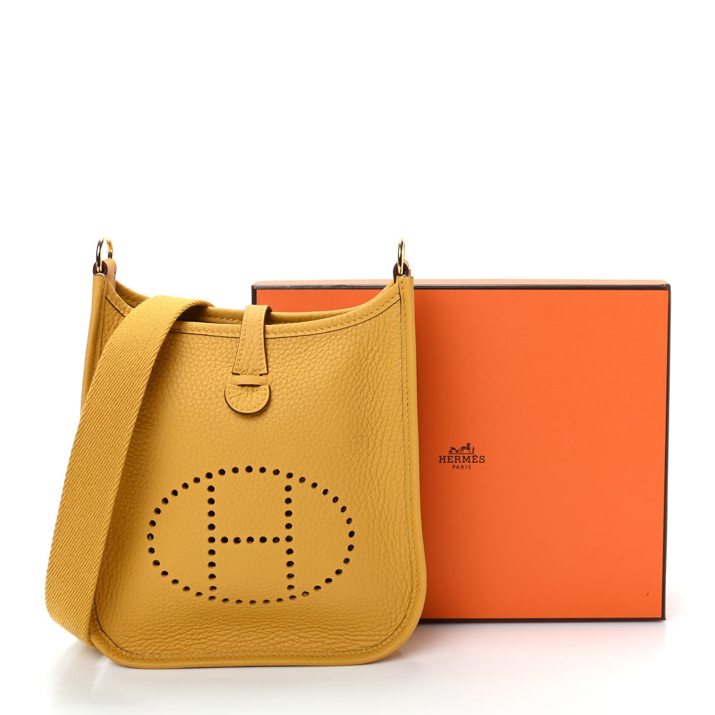 Taurillon Clemence Evelyne TPM Jaune Ambre