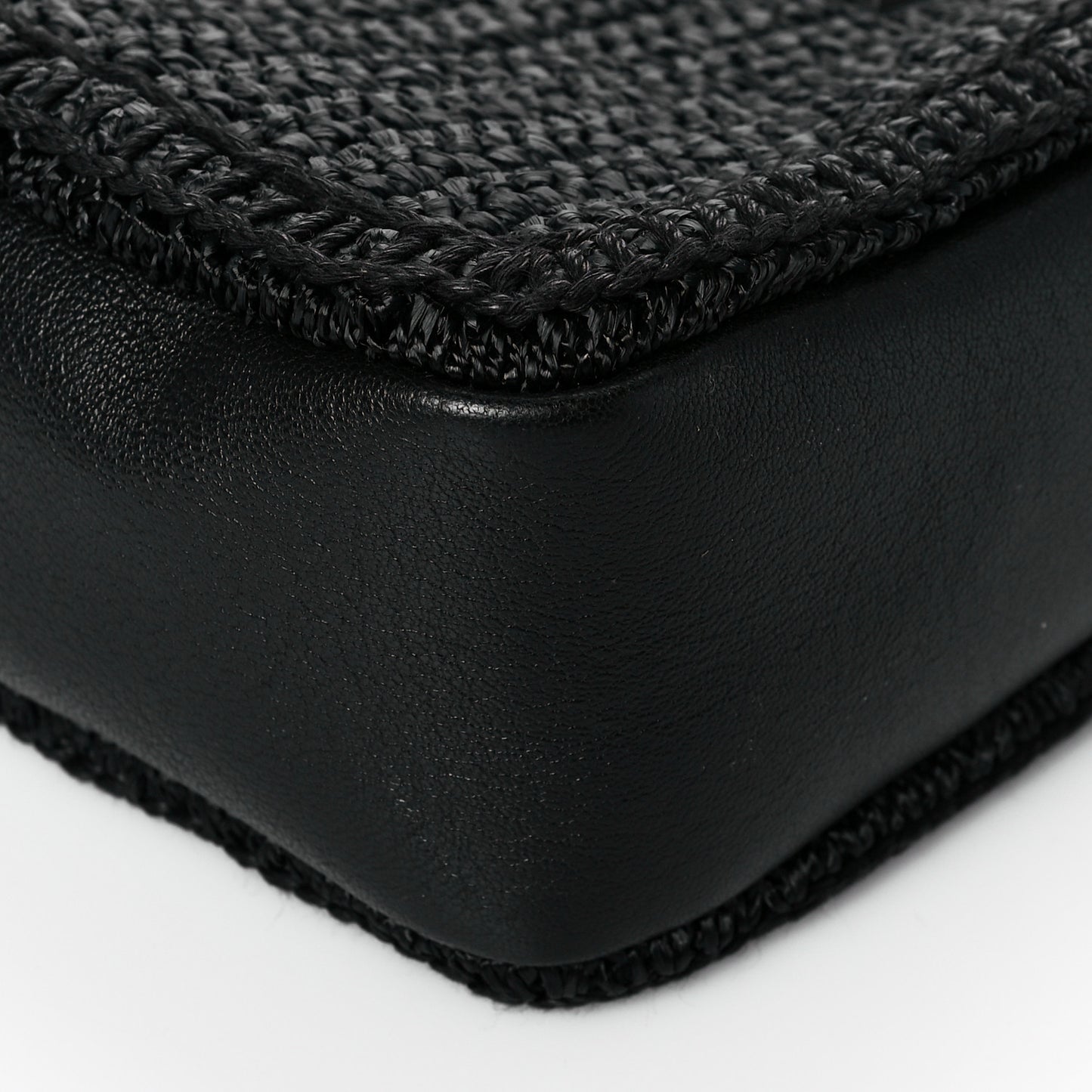 Raffia Canvas Monogram Lou Camera Bag Black