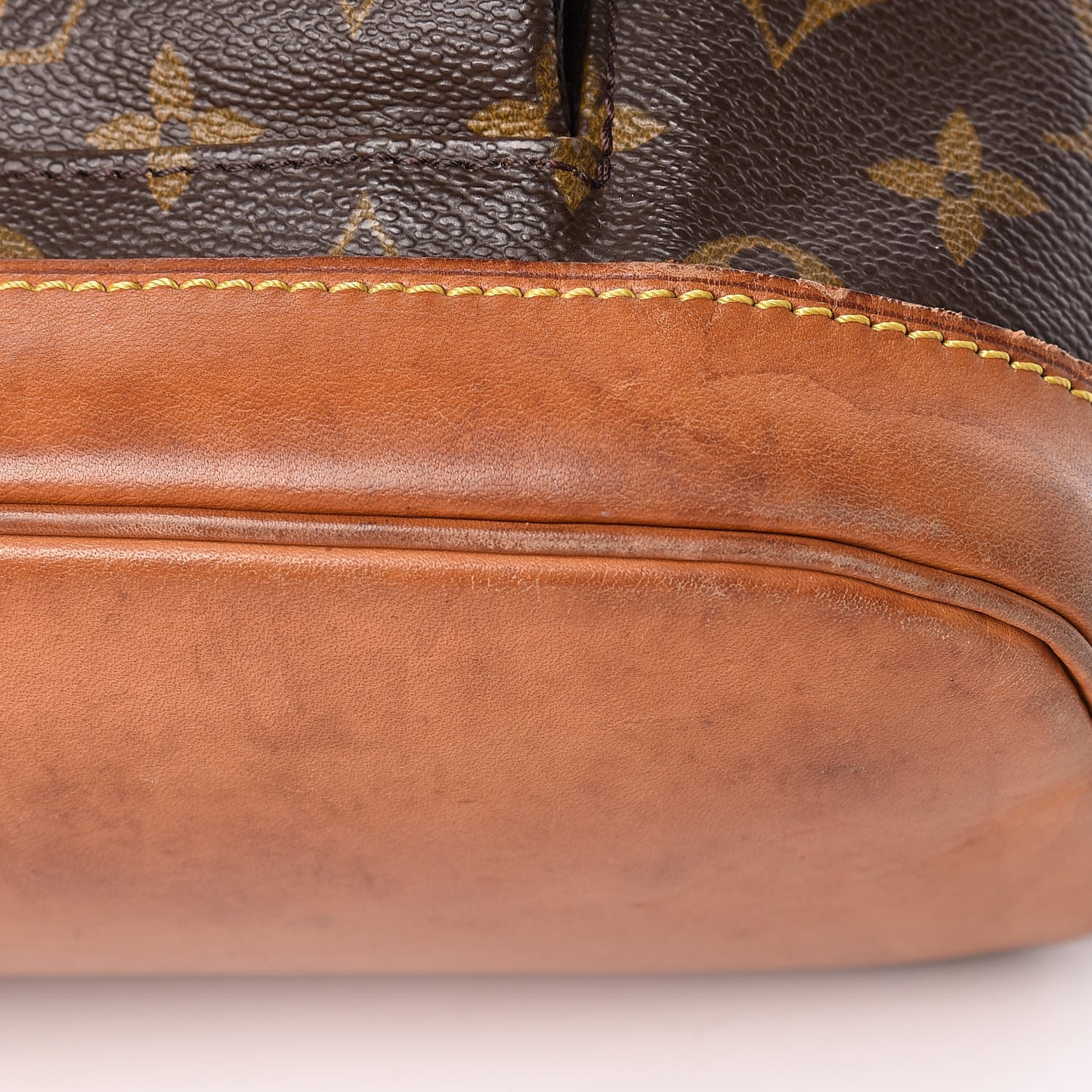 Monogram Montsouris GM Backpack