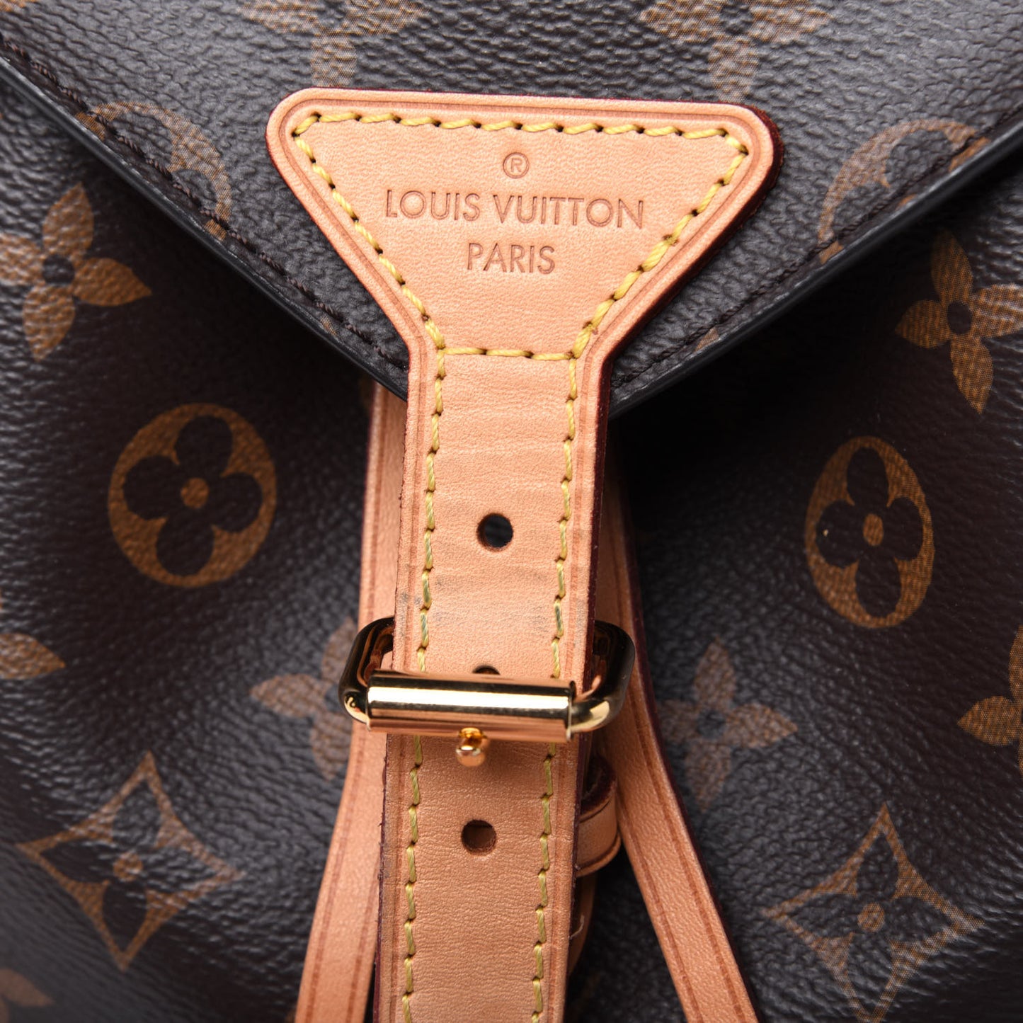 Monogram Montsouris NM Backpack