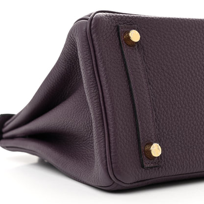Hermes Togo Birkin 25 Cassis 8 of 10