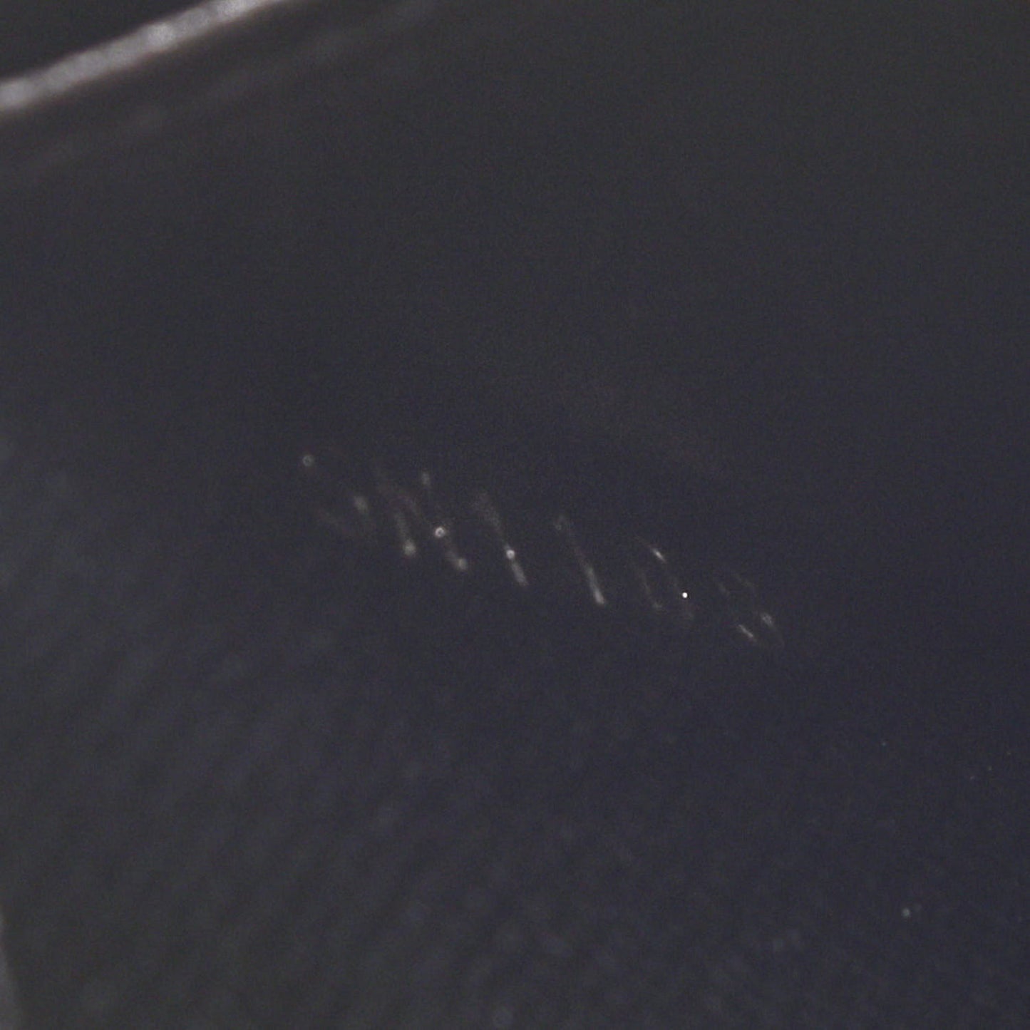 Monogram Blossom Zippy Coin Purse