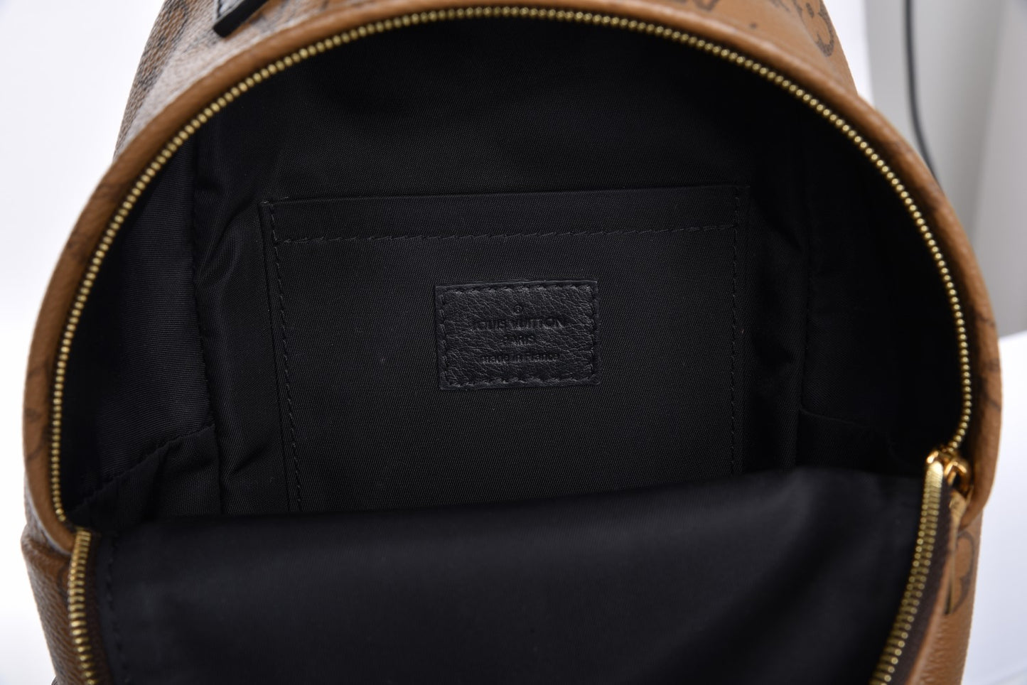 Reverse Monogram Palm Springs Backpack Mini