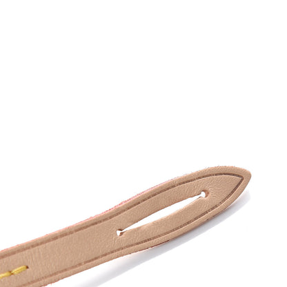 Louis Vuitton Vachetta Pochette Accessories Strap NM 4 of 4