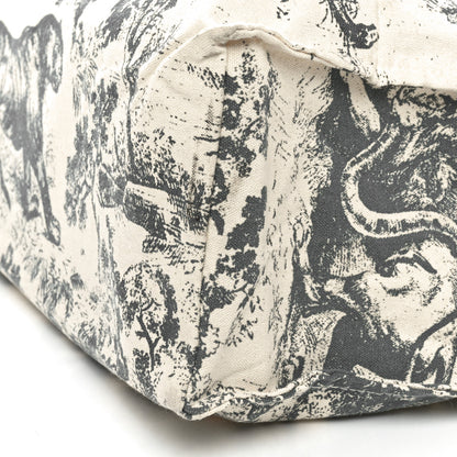 Christian Dior Straw Dioriviera Tote Grey 8 of 8