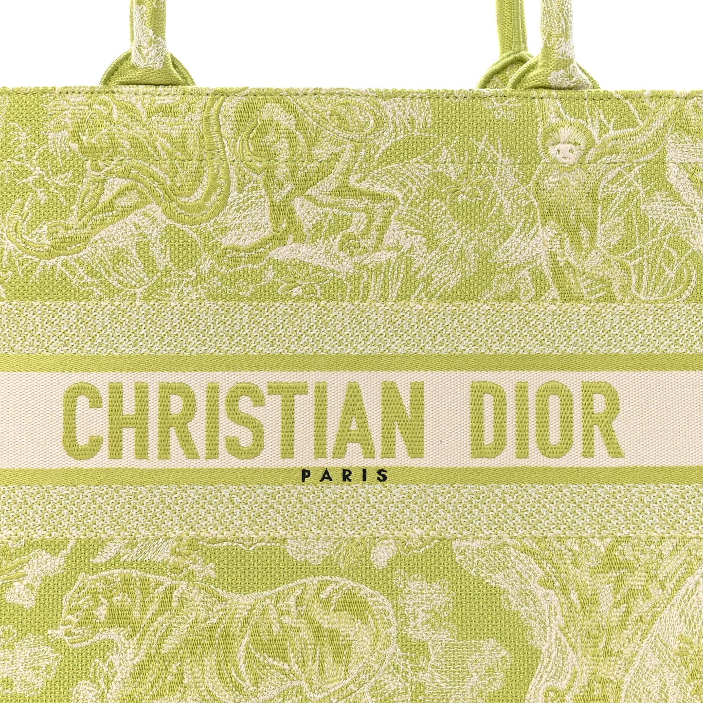 Canvas Embroidered Medium Dioriviera Toile De Jouy Book Tote D-Lite Green