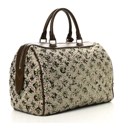 Louis Vuitton Sequin Monogram Sunshine Express Speedy Kaki 3 of 9