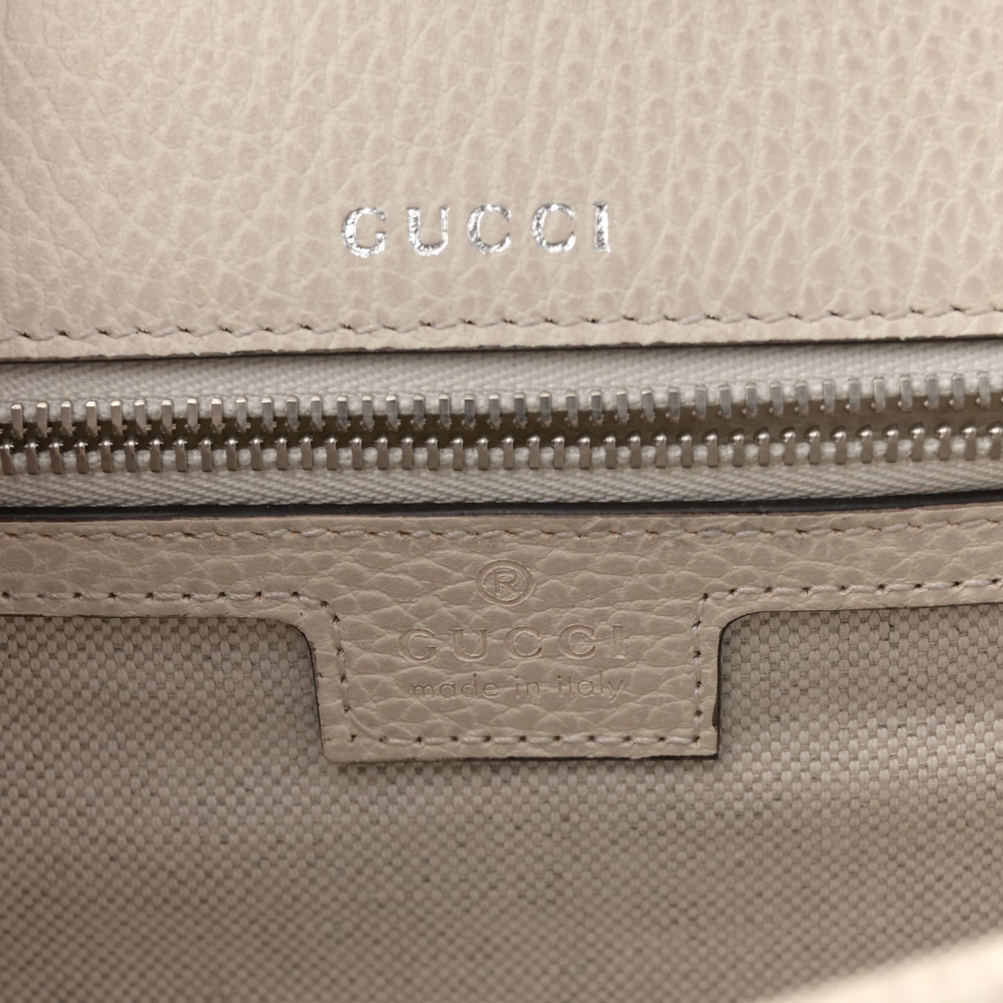 Dollar Calfskin Web Small Dionysus Crossbody Bag Mystic White