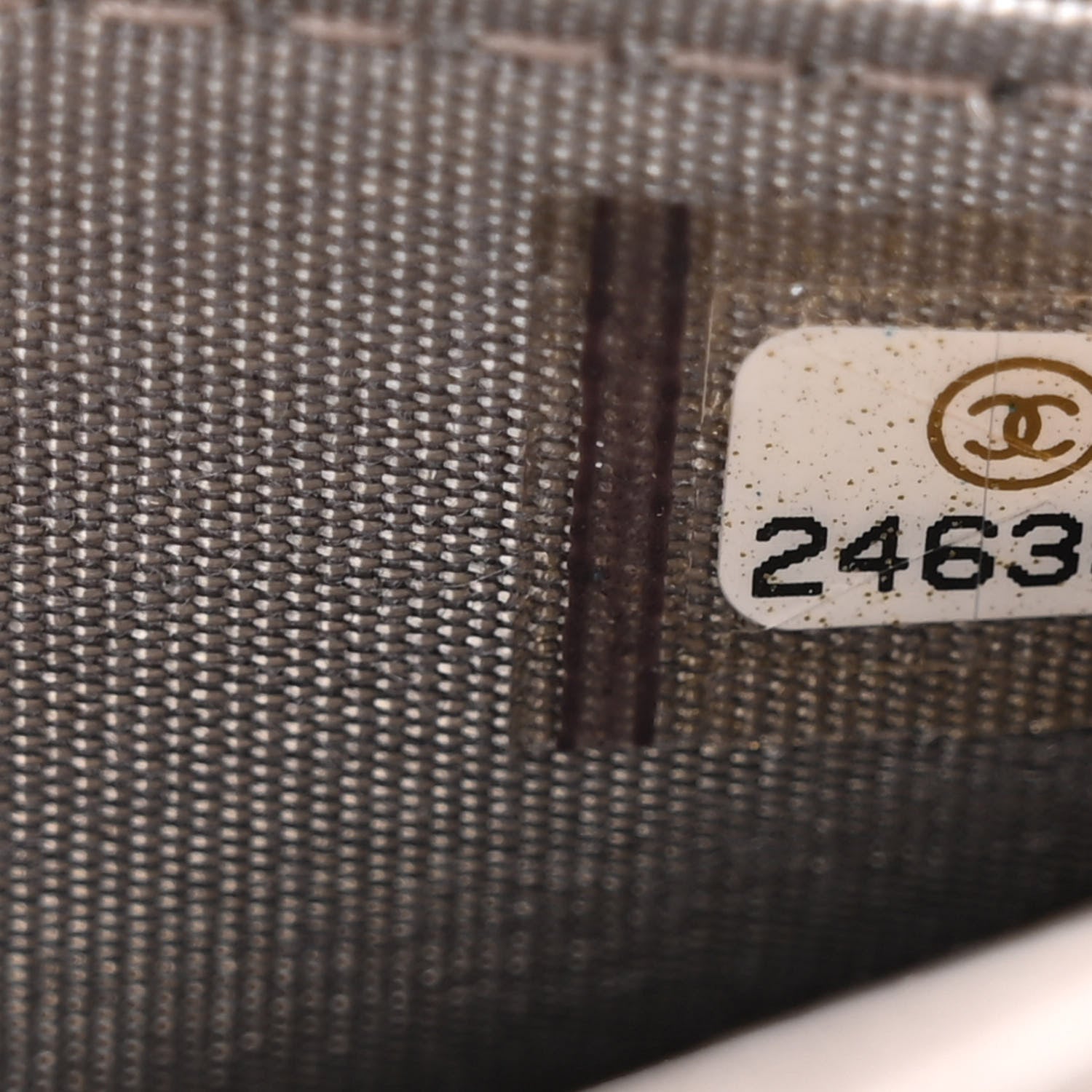 Chanel Calfskin Resin Stitched Wallet On Chain WOC Grey 8 of 13