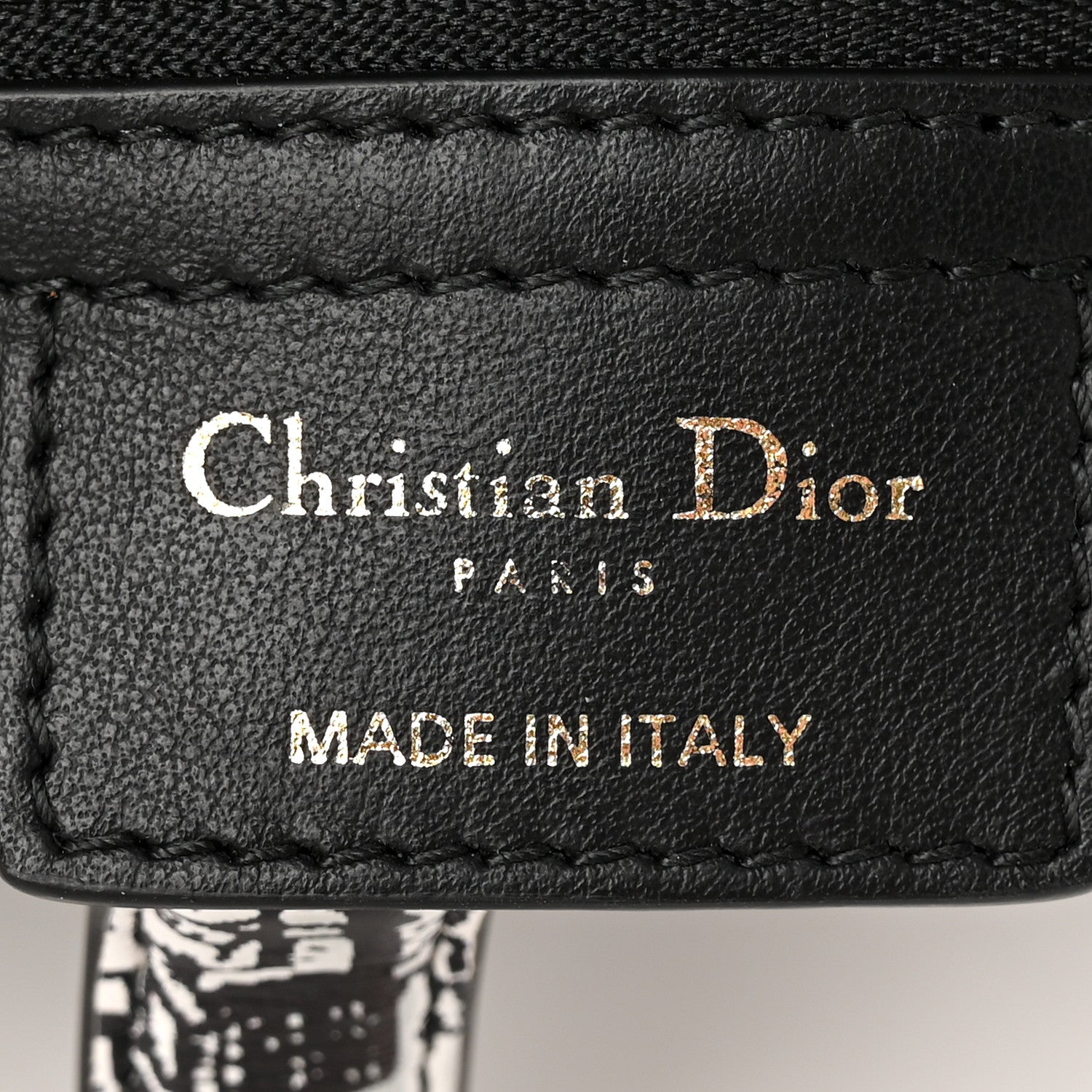 Christian Dior Calfskin Plan De Paris Printed Saddle Bag With Strap White Black 6 of 11
