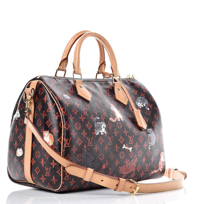 Louis Vuitton Catogram Speedy Bandouliere 30 Marron 3 of 16
