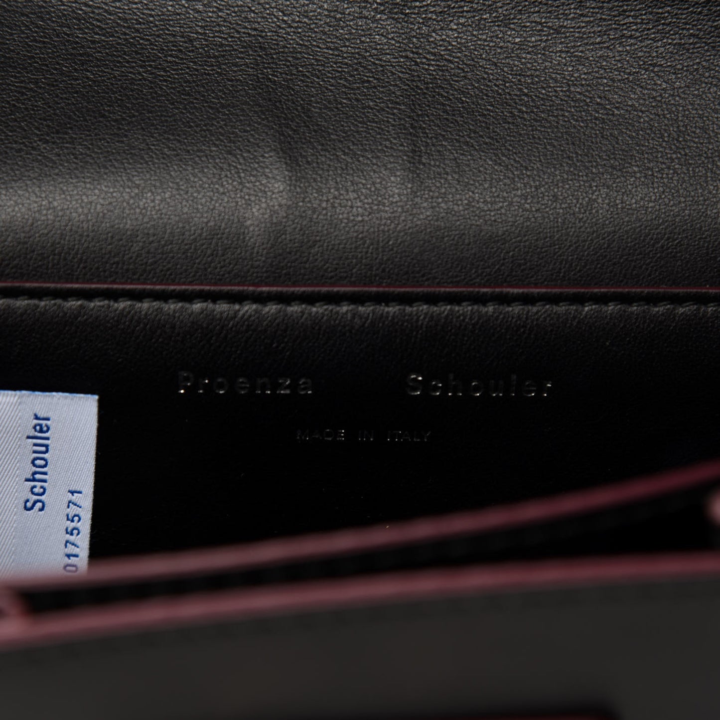 Smooth Calfskin Mini Hava Chain Crossbody Black
