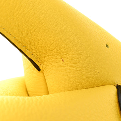 Loewe Calfskin Mini Elephant Crossbody Bag Yellow 14 of 15