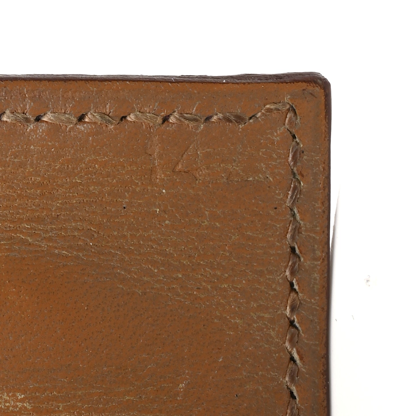 Shiny Niloticus Crocodile Collier De Chien CDC Bracelet S Miel