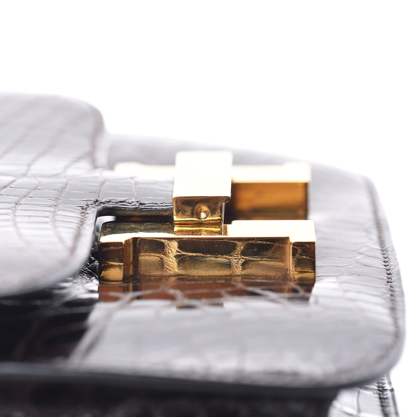 Shiny Alligator Constance 18 Ebene