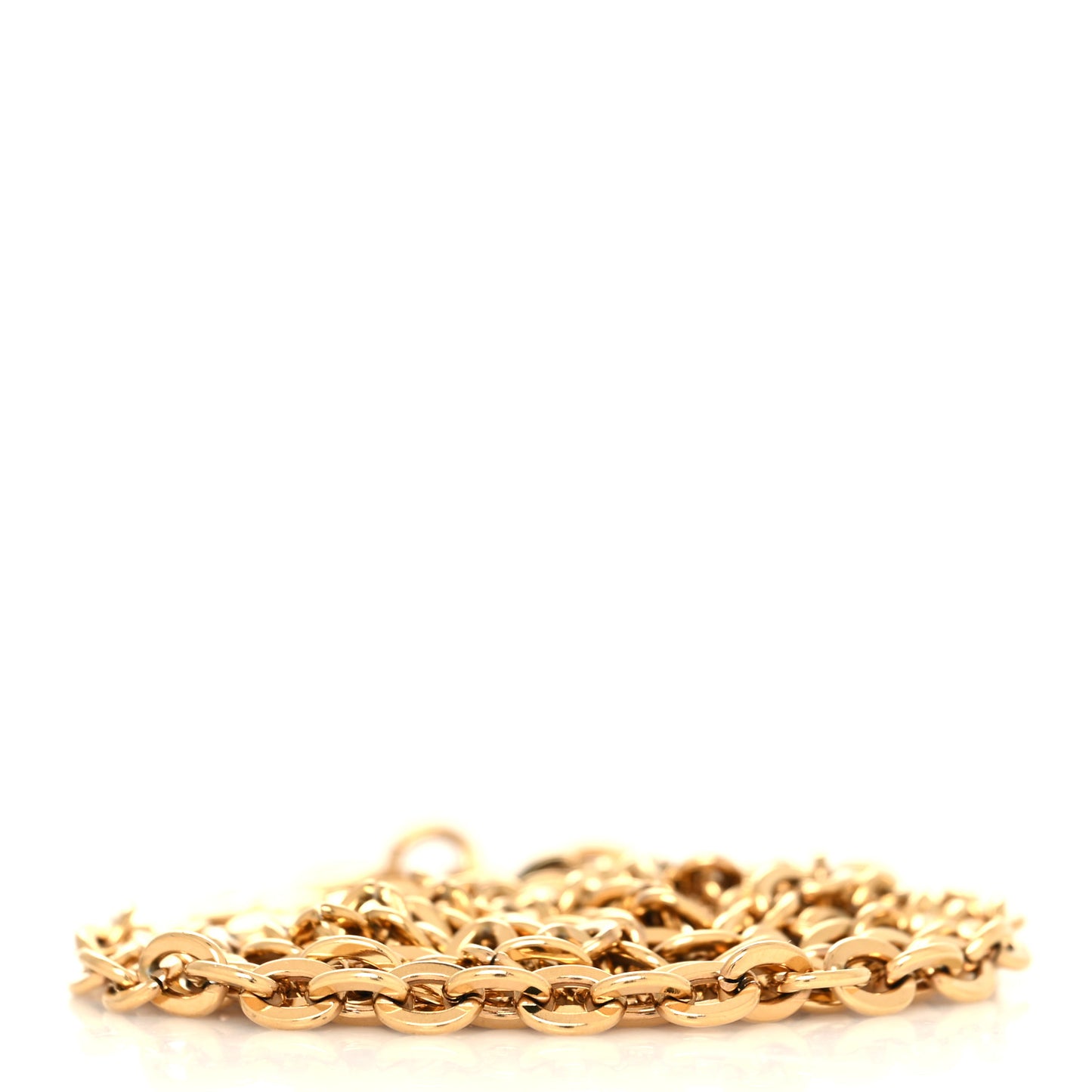 Felicie Chain Long Shoulder Strap
