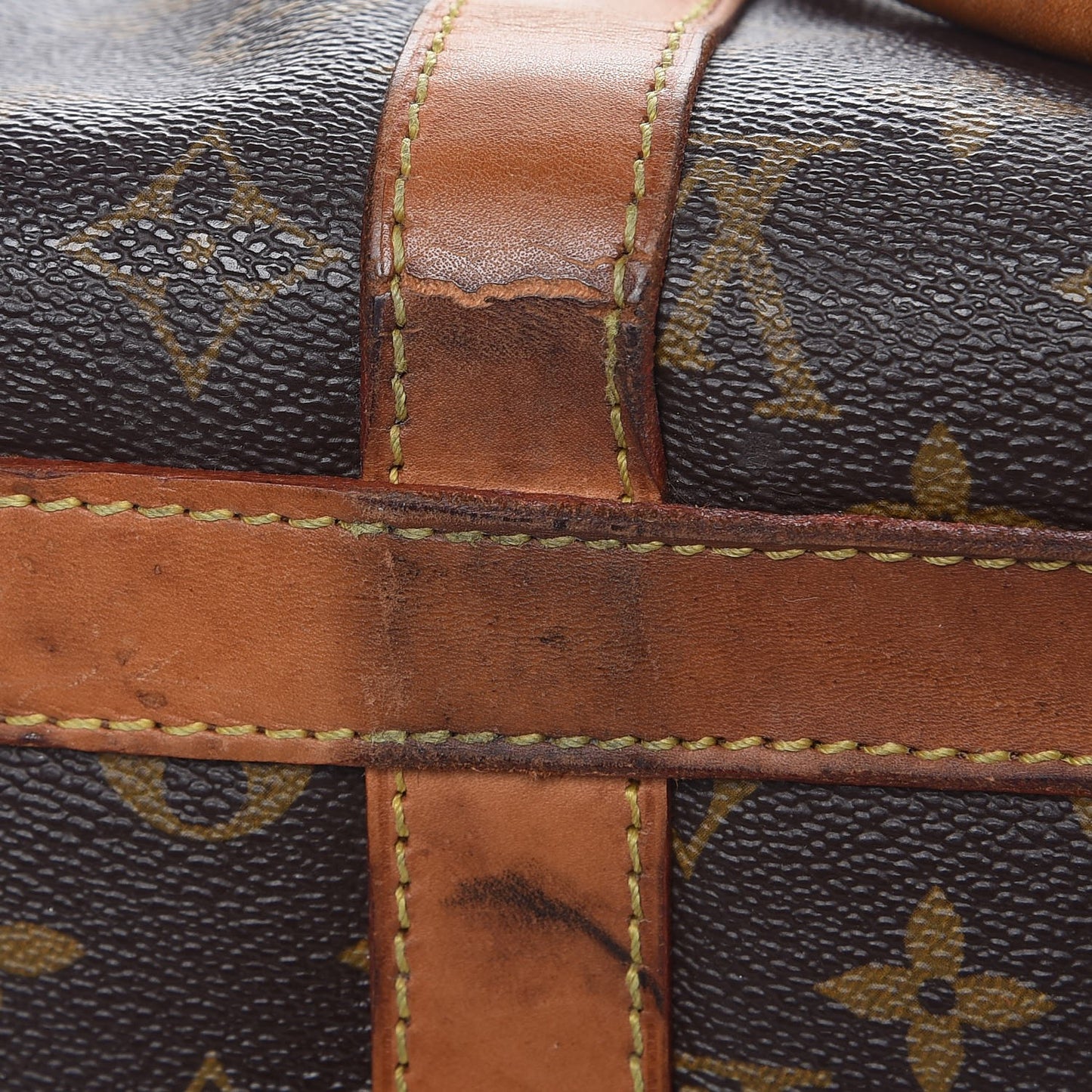 Monogram Sac Chien 40 Pet Carrier