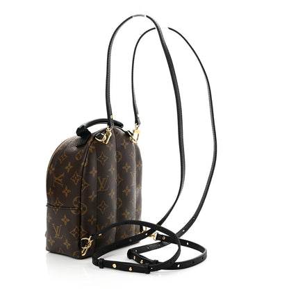 Louis Vuitton Monogram Palm Springs Backpack Mini 3 of 11