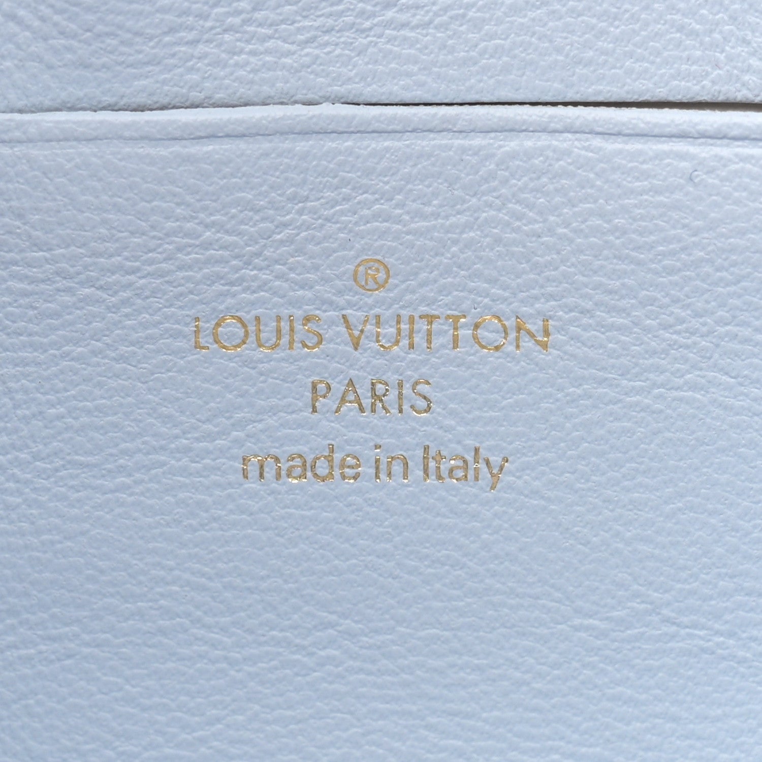 Louis Vuitton Calfskin Bubblegram Wallet On Strap Ice Blue 6 of 10