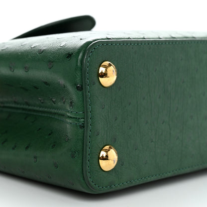 Louis Vuitton Ostrich Capucines BB Mint 8 of 9