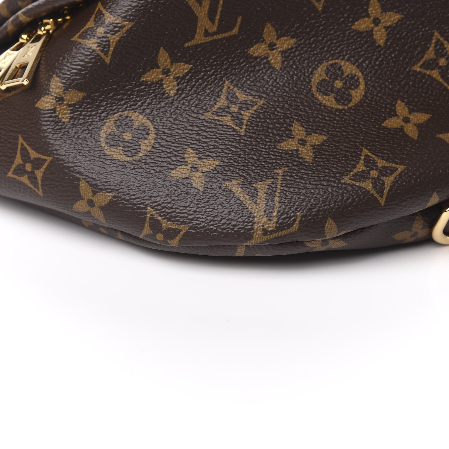 Louis Vuitton Monogram Bumbag 7 of 10