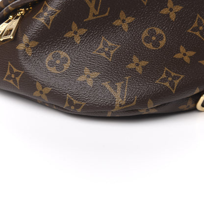 Louis Vuitton Monogram Bumbag 7 of 10