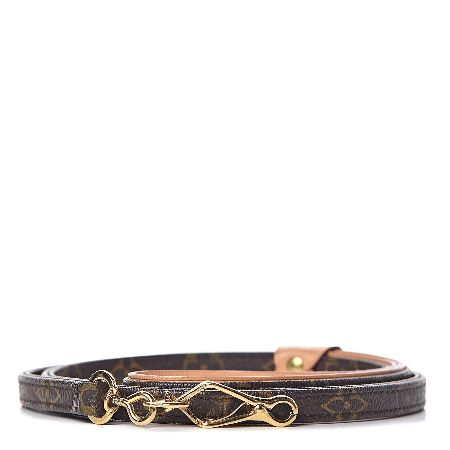 Louis Vuitton Monogram Baxter Dog Leash MM 1 of 4