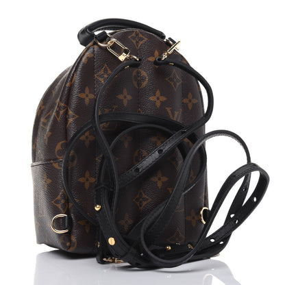 Louis Vuitton Monogram Palm Springs Backpack Mini 2 of 11