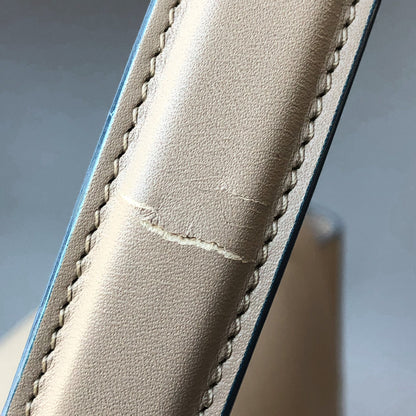 Celine Smooth Calfskin Mini Belt Bag Light Taupe 19 of 20