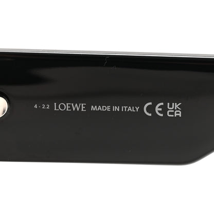 Loewe Acetate Paula's Ibiza Dive In Mask Sunglasses LW40064U Black Pink 5 of 8