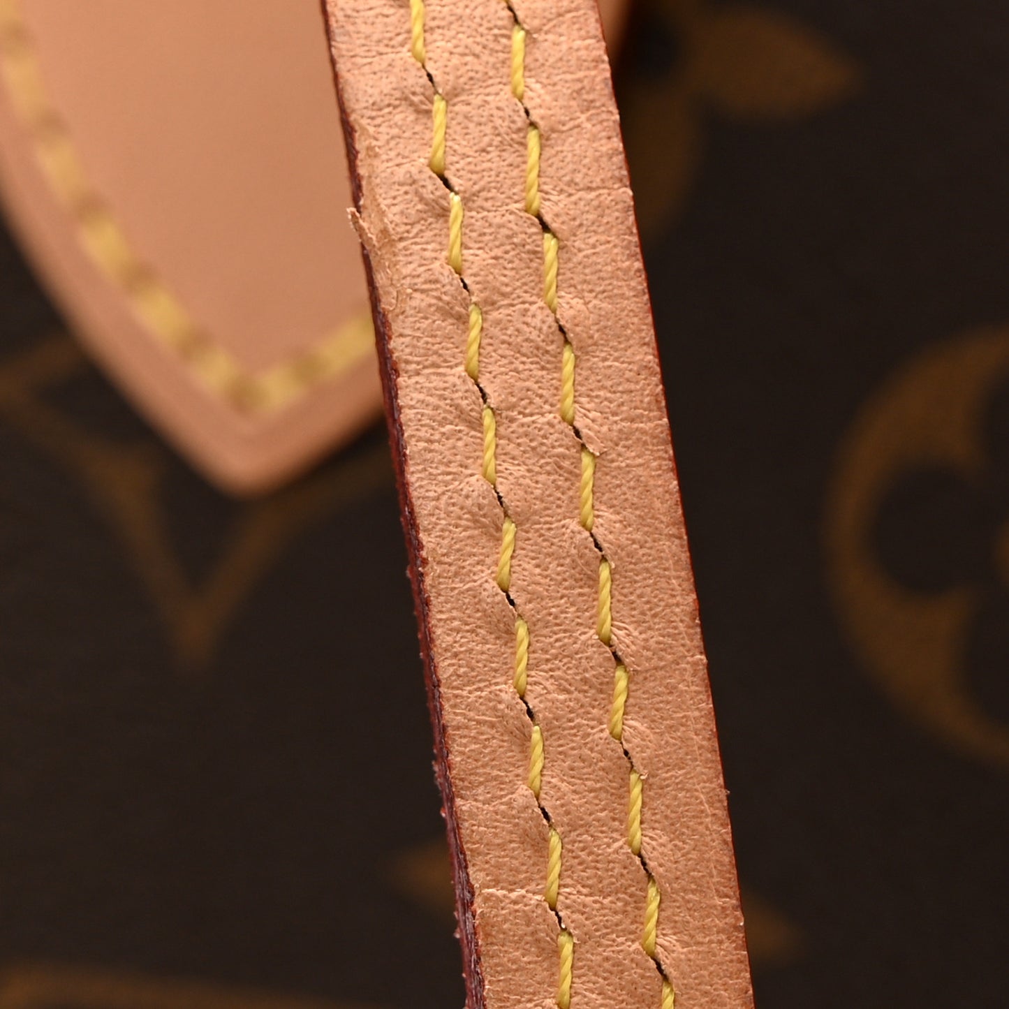 Monogram Carry It