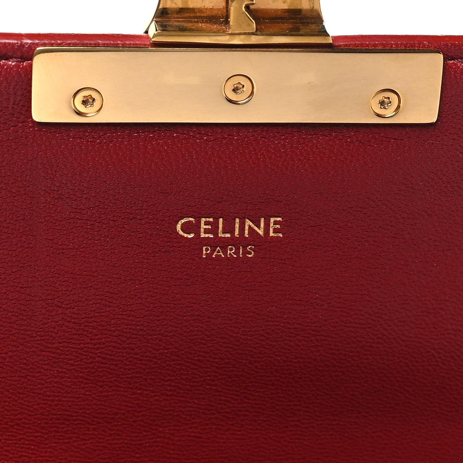 Celine Watersnake Teen Triomphe Ruby 6 of 10