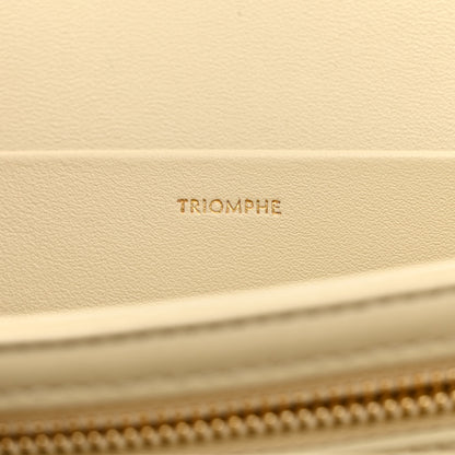 Celine Shiny Calfskin Medium Triomphe Limestone 9 of 12