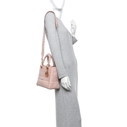 Christian Dior Canvas Embroidered Cannage Medium Lady D-Lite Bois de Rose 2 of 17