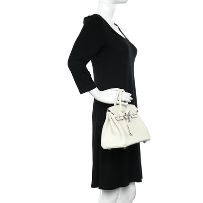 Hermes Swift Birkin 25 Mushroom 3 of 13