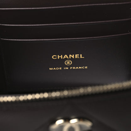 Chanel Caviar Quilted Top Handle Long Vanity Dark Brown 6 of 12