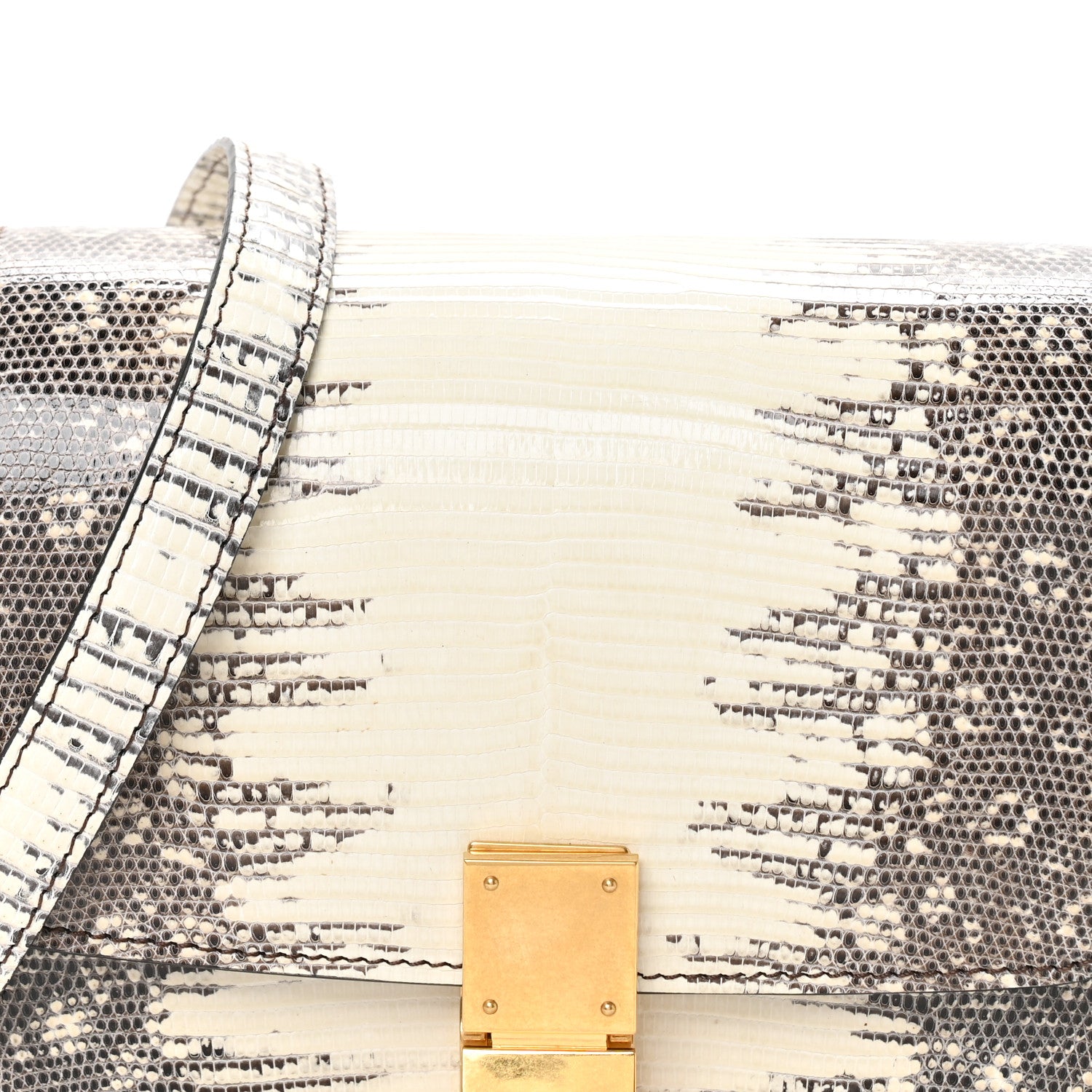 Celine Lizard Small Classic Box Flap Bag Natural 8 of 11