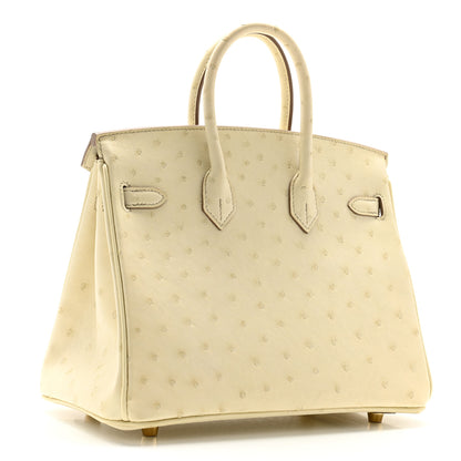 Hermes Ostrich Birkin 25 Beton 3 of 15