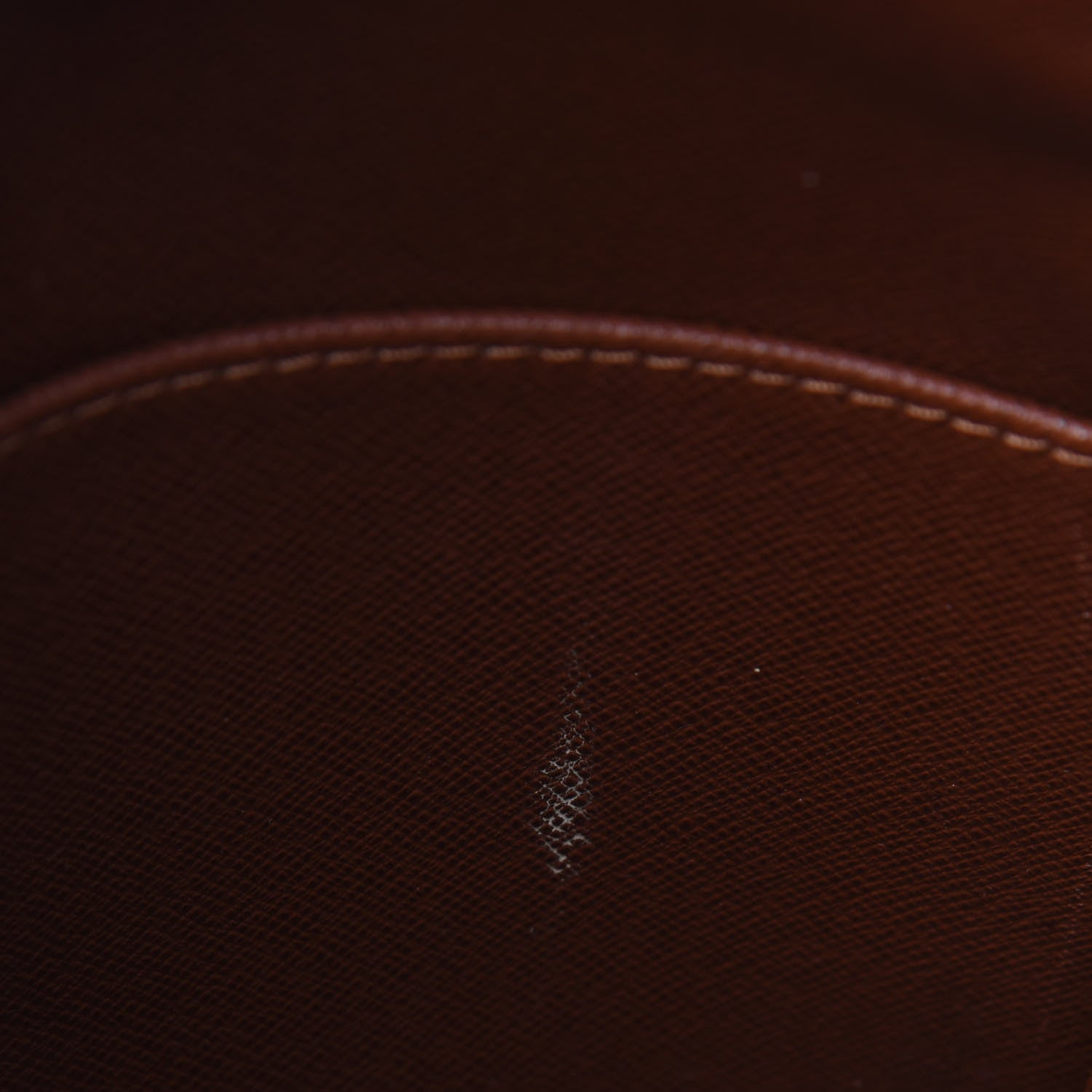 Louis Vuitton Monogram Amazone 7 of 29