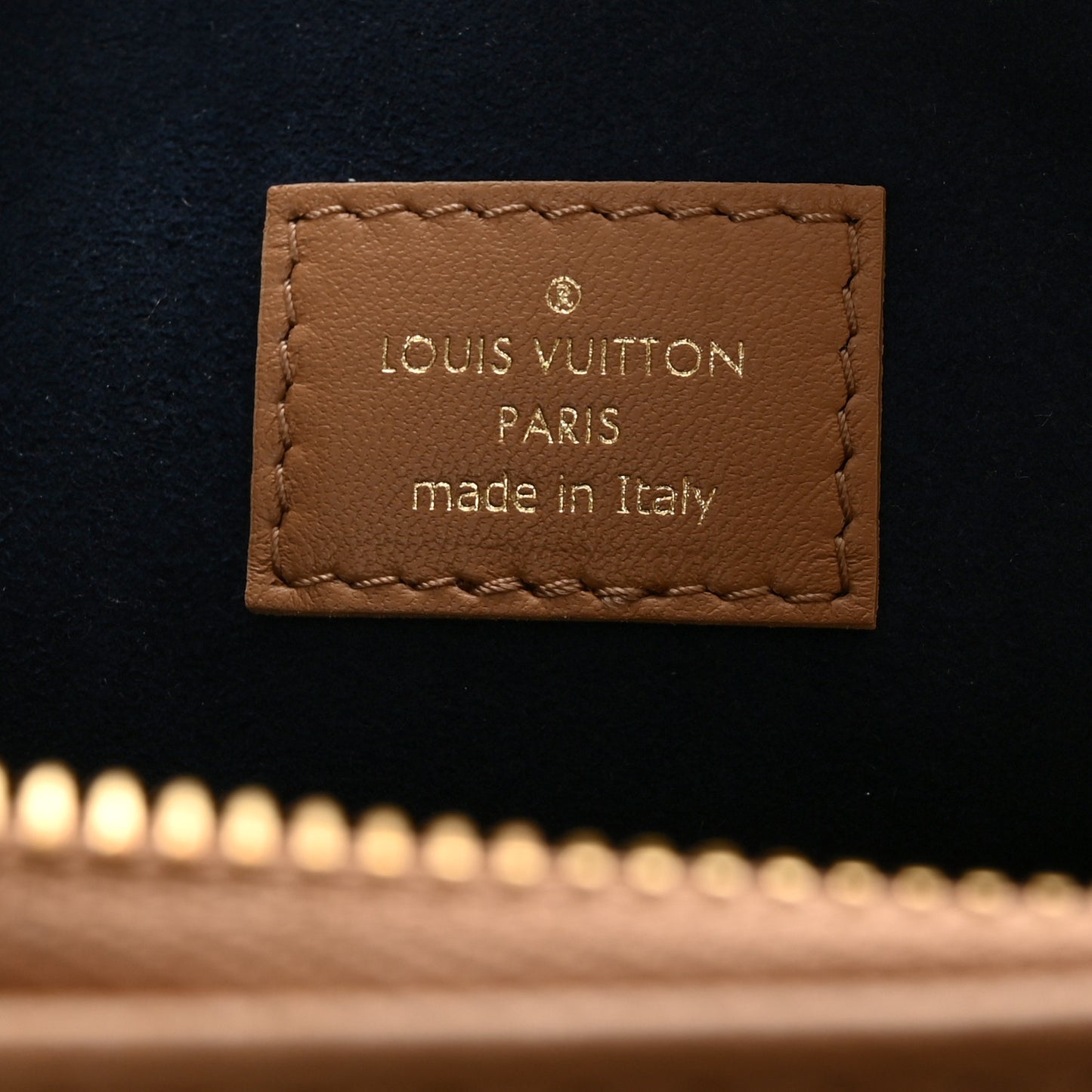 Lambskin Embossed Monogram Coussin PM Camel
