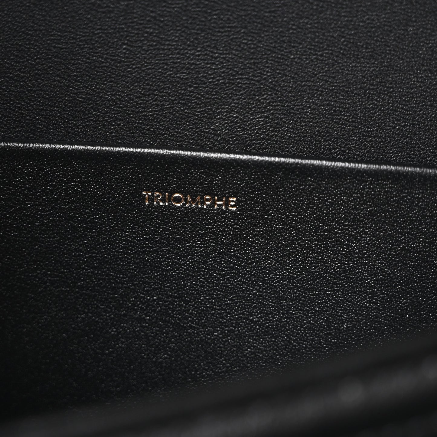 Shiny Calfskin Medium Triomphe Black