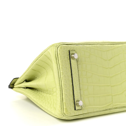 Hermes Matte Alligator Birkin 25 Jaune Bourgeon 9 of 10