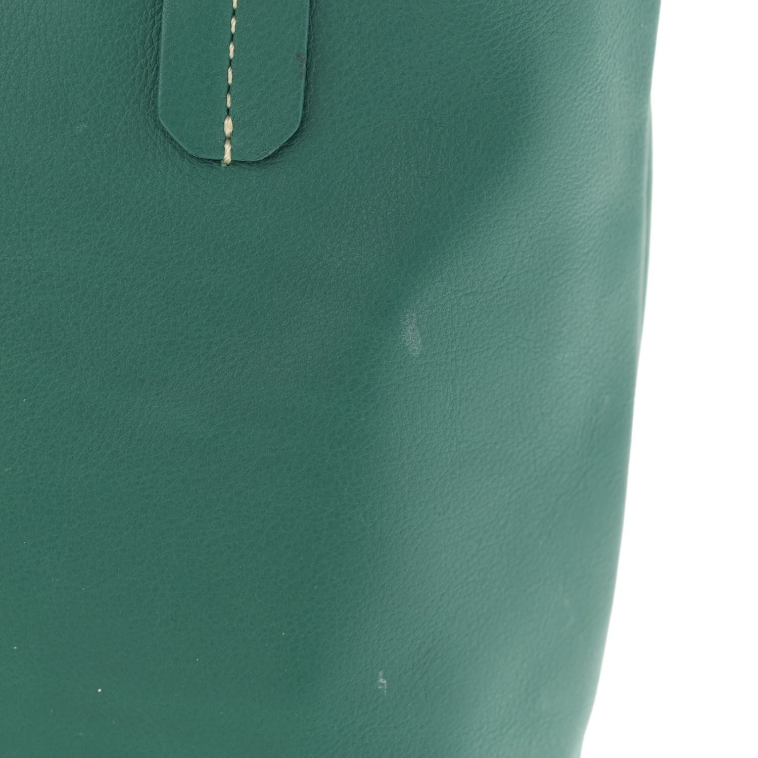 Goyard Goyardine Reversible Mini Anjou Green 18 of 19